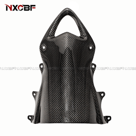 BMW S1000RR 2009-2014 Carbon Fiber Windscreen BMW