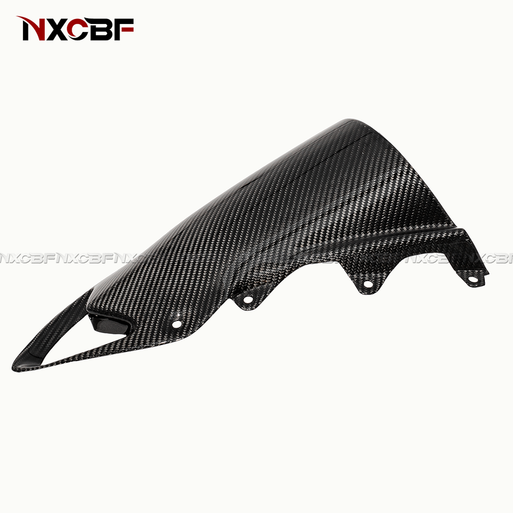 BMW S1000RR 2009-2014 Carbon Fiber Windscreen BMW