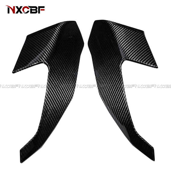 BMW S1000XR Carbon Fiber Front Headlight Fairings BMW